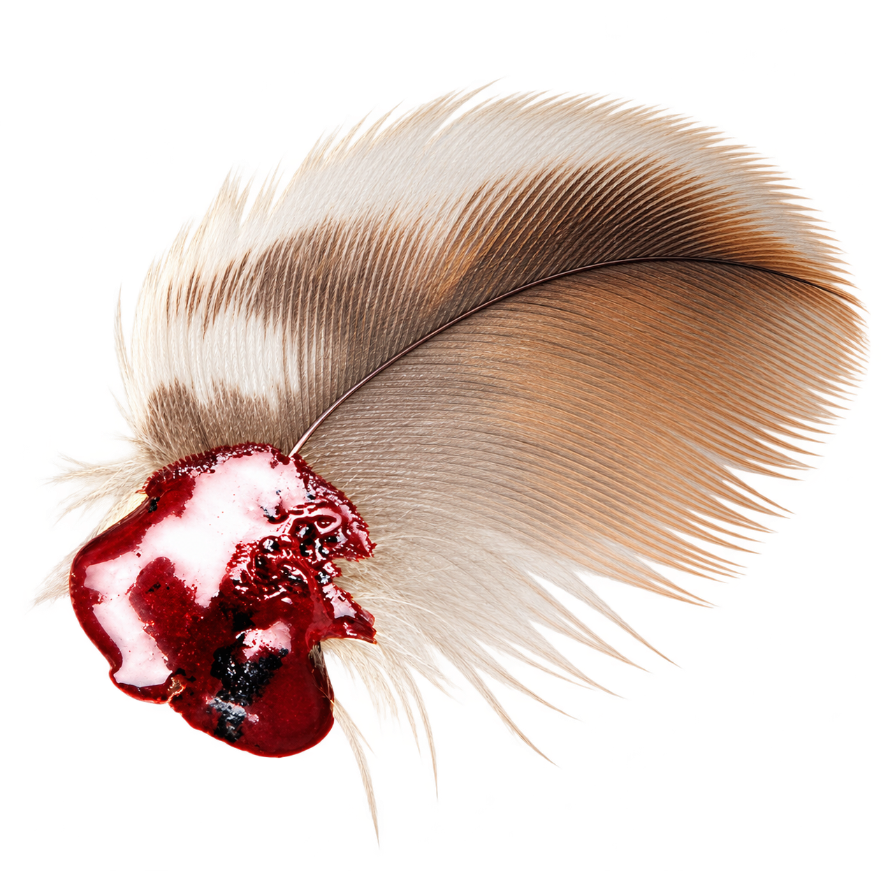 Restored cutout of Craig’s original feather and red wax seal, the source of the Pictii colour palette.
